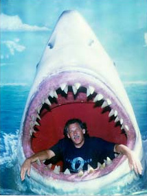 in the shark's mounth