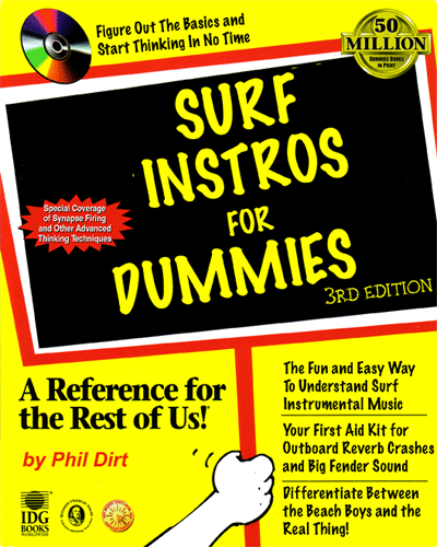 surf for dummies